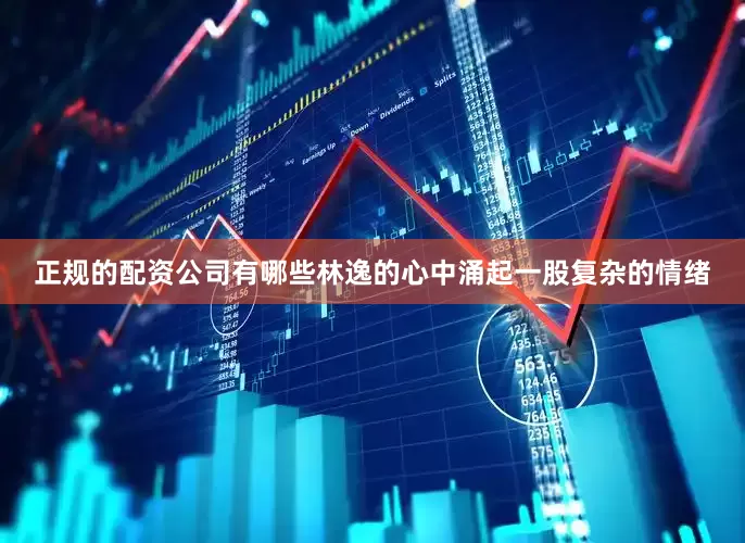 正规的配资公司有哪些林逸的心中涌起一股复杂的情绪