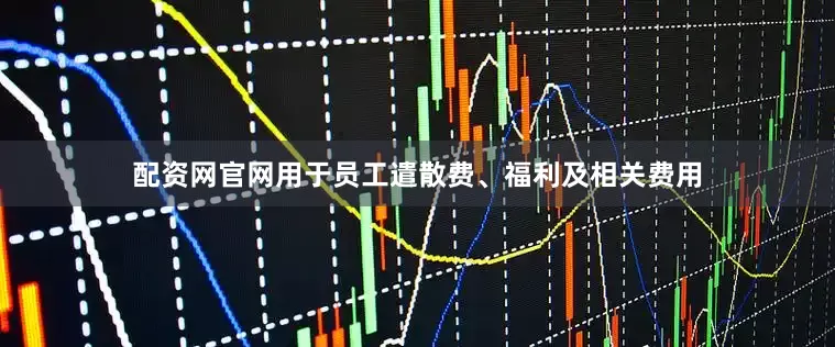 配资网官网用于员工遣散费、福利及相关费用
