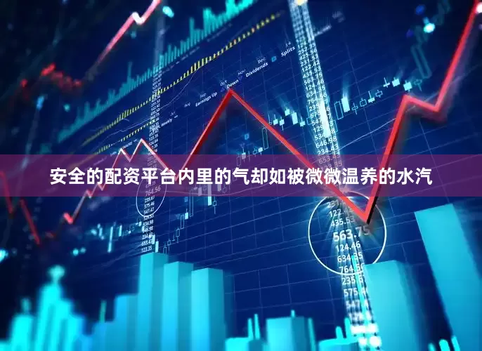 安全的配资平台内里的气却如被微微温养的水汽