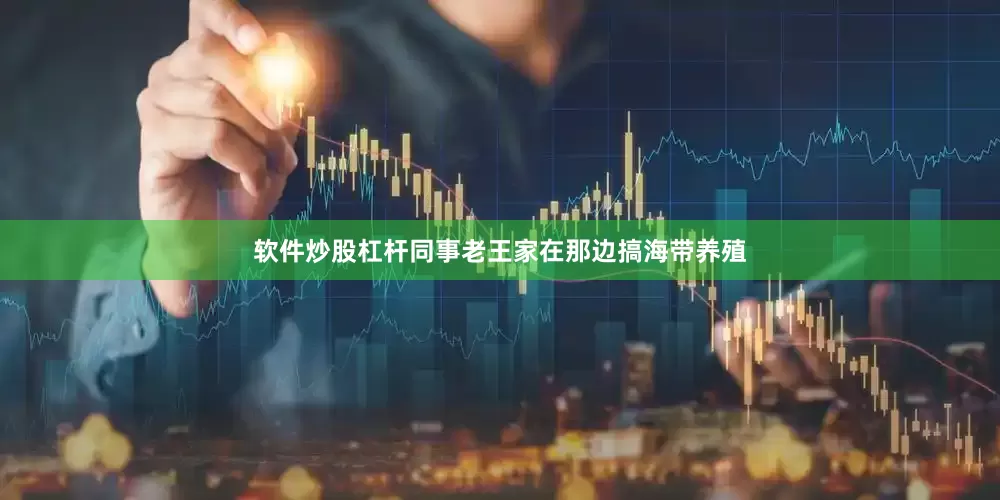 软件炒股杠杆同事老王家在那边搞海带养殖