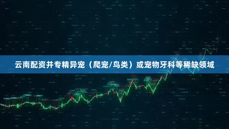 云南配资并专精异宠（爬宠/鸟类）或宠物牙科等稀缺领域