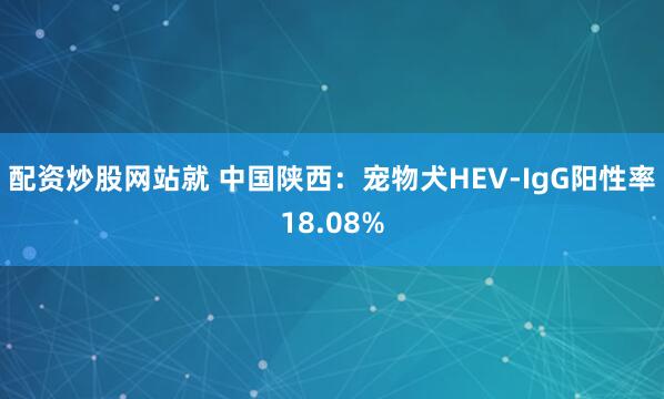 配资炒股网站就 中国陕西：宠物犬HEV-IgG阳性率18.08%