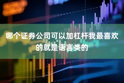 哪个证券公司可以加杠杆我最喜欢的就是语言类的